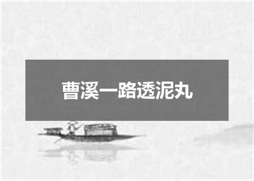 曹溪一路透泥丸