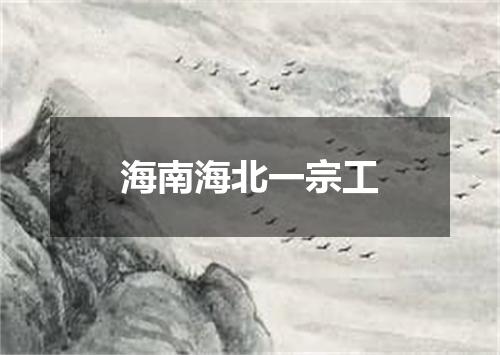 海南海北一宗工
