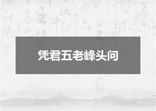 凭君五老峰头问