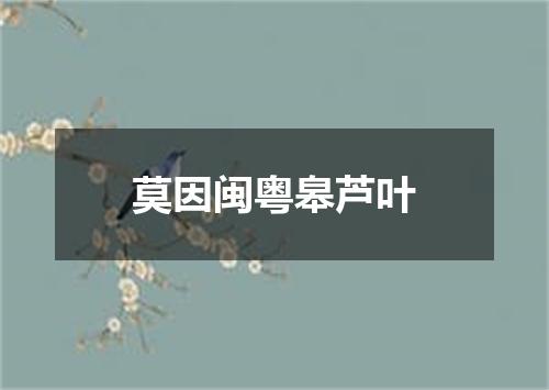 莫因闽粤皋芦叶