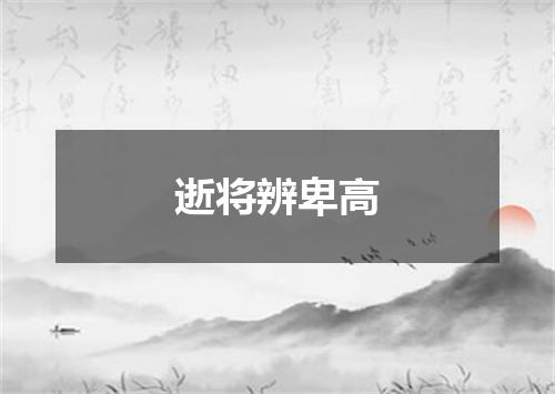 逝将辨卑高