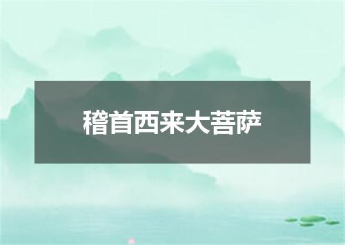 稽首西来大菩萨