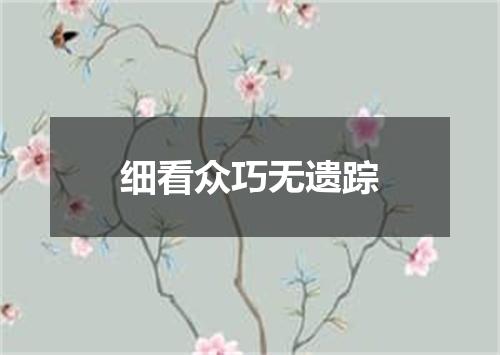 细看众巧无遗踪