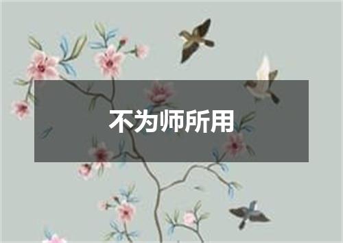 不为师所用