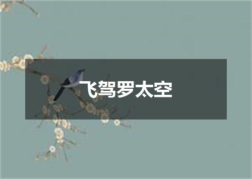 飞驾罗太空