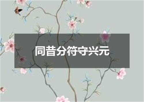 同昔分符守兴元