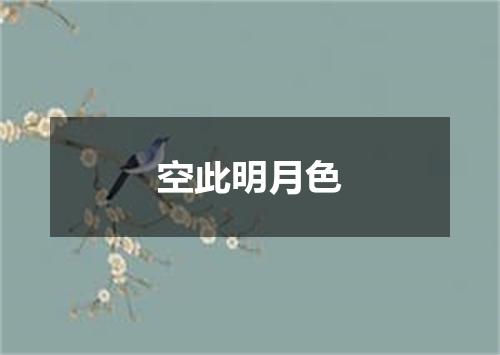 空此明月色
