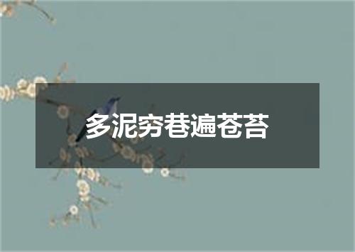 多泥穷巷遍苍苔