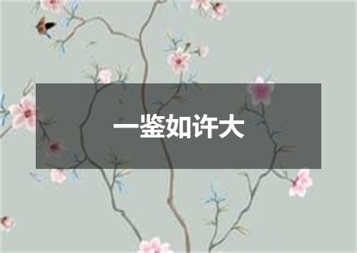 一鉴如许大