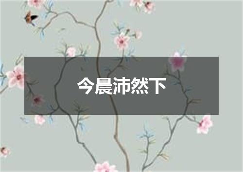 今晨沛然下