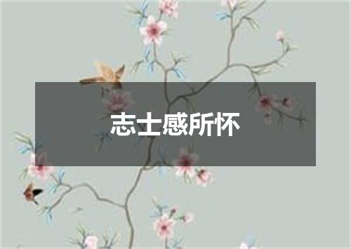 志士感所怀