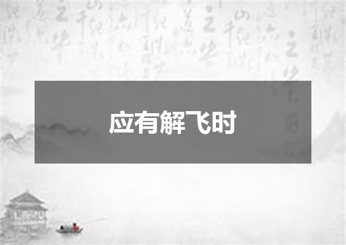 应有解飞时