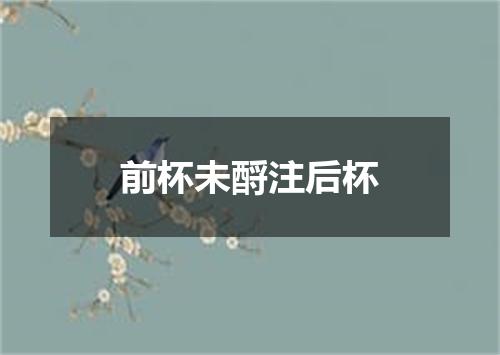 前杯未酹注后杯