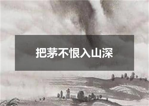 把茅不恨入山深