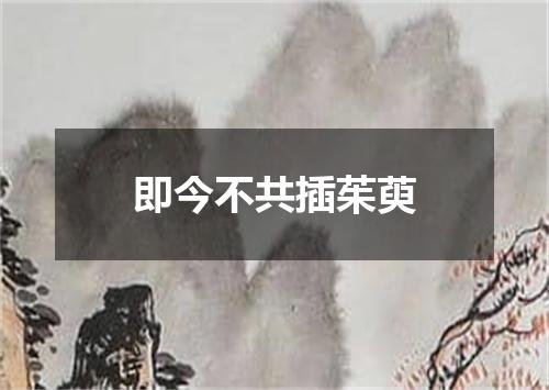 即今不共插茱萸
