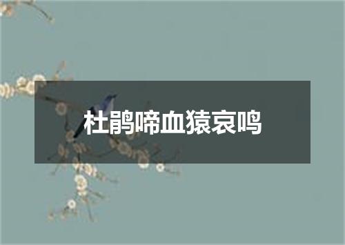 杜鹃啼血猿哀鸣