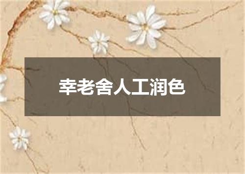 幸老舍人工润色