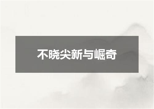 不晓尖新与崛奇