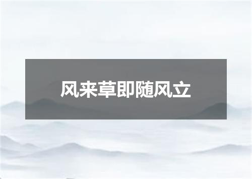 风来草即随风立