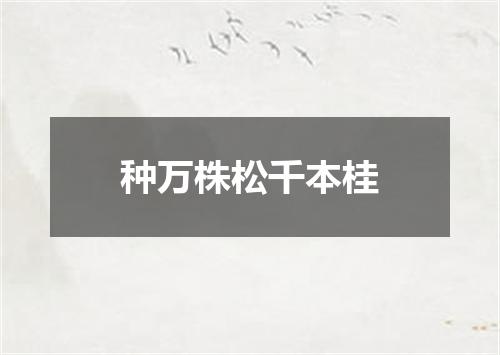 种万株松千本桂