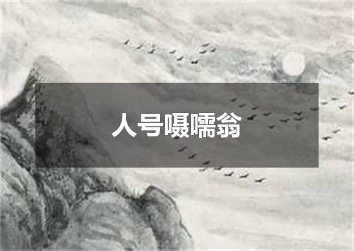 人号嗫嚅翁