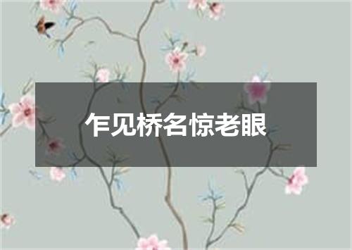 乍见桥名惊老眼