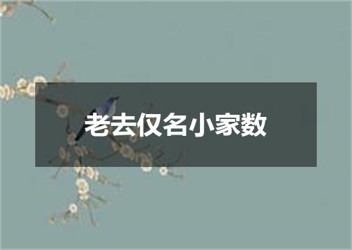 老去仅名小家数