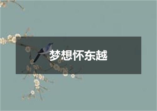 梦想怀东越