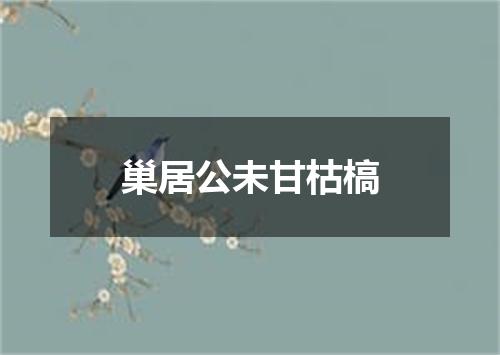 巢居公未甘枯槁