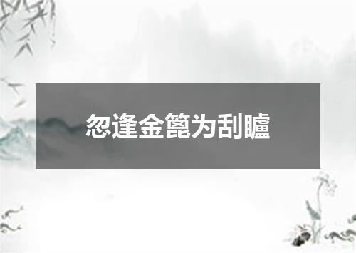 忽逢金篦为刮矑