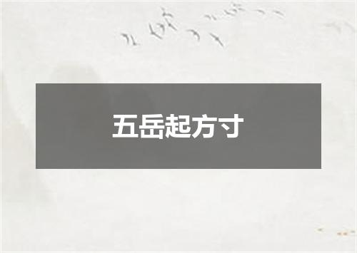 五岳起方寸