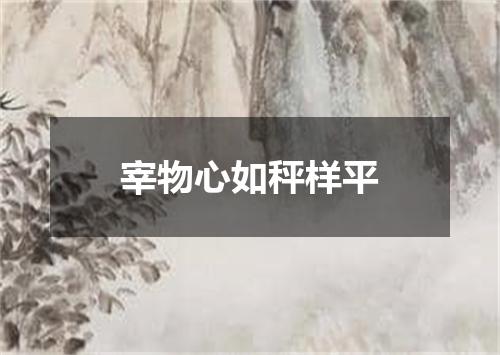 宰物心如秤样平