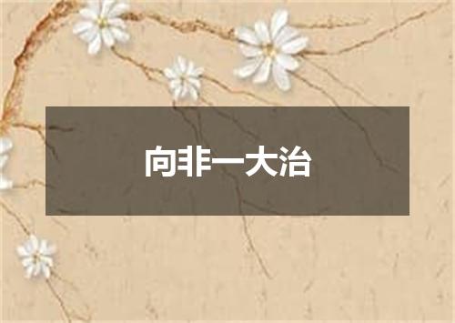 向非一大治