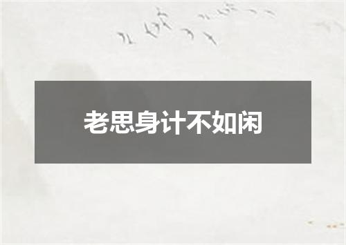老思身计不如闲
