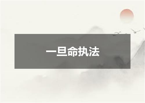 一旦命执法