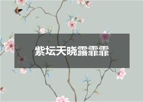 紫坛天晓露霏霏