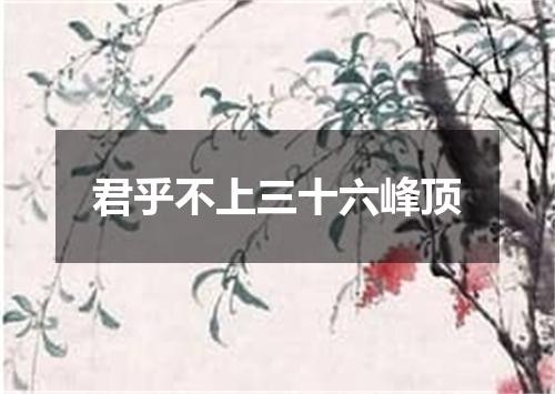 君乎不上三十六峰顶