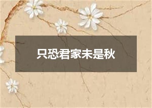 只恐君家未是秋