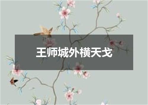 王师城外横天戈