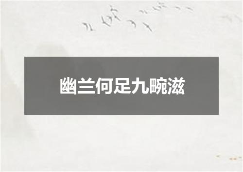 幽兰何足九畹滋