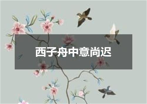 西子舟中意尚迟