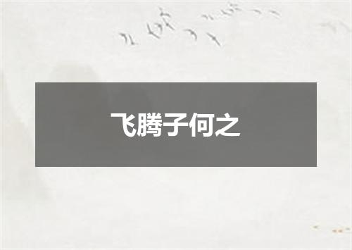 飞腾子何之