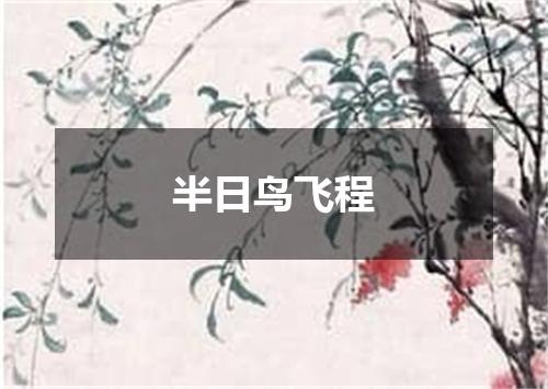 半日鸟飞程