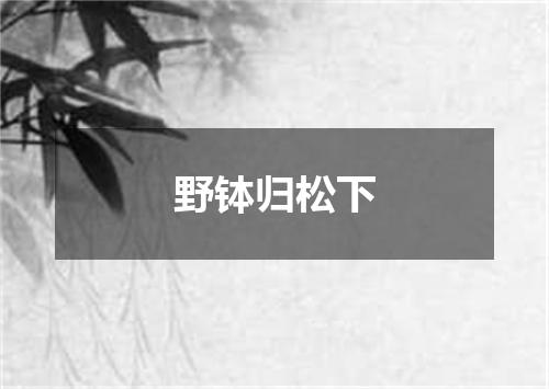 野钵归松下
