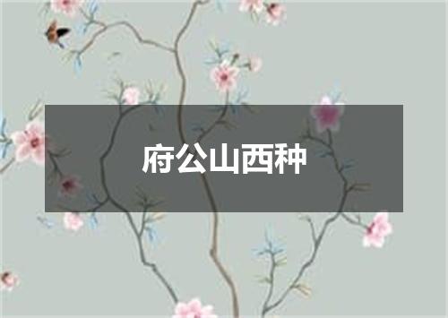 府公山西种