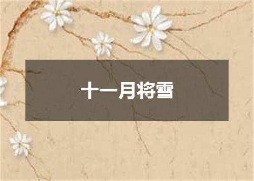 十一月将雪