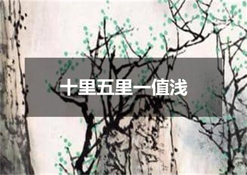 十里五里一值浅