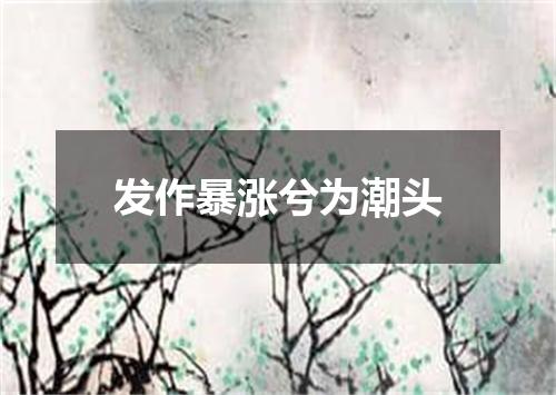 发作暴涨兮为潮头