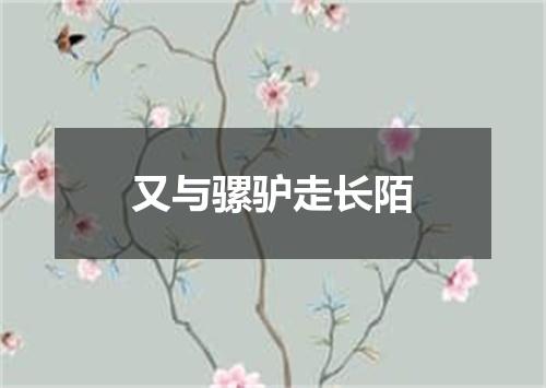 又与骡驴走长陌