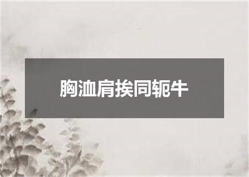 胸洫肩挨同轭牛